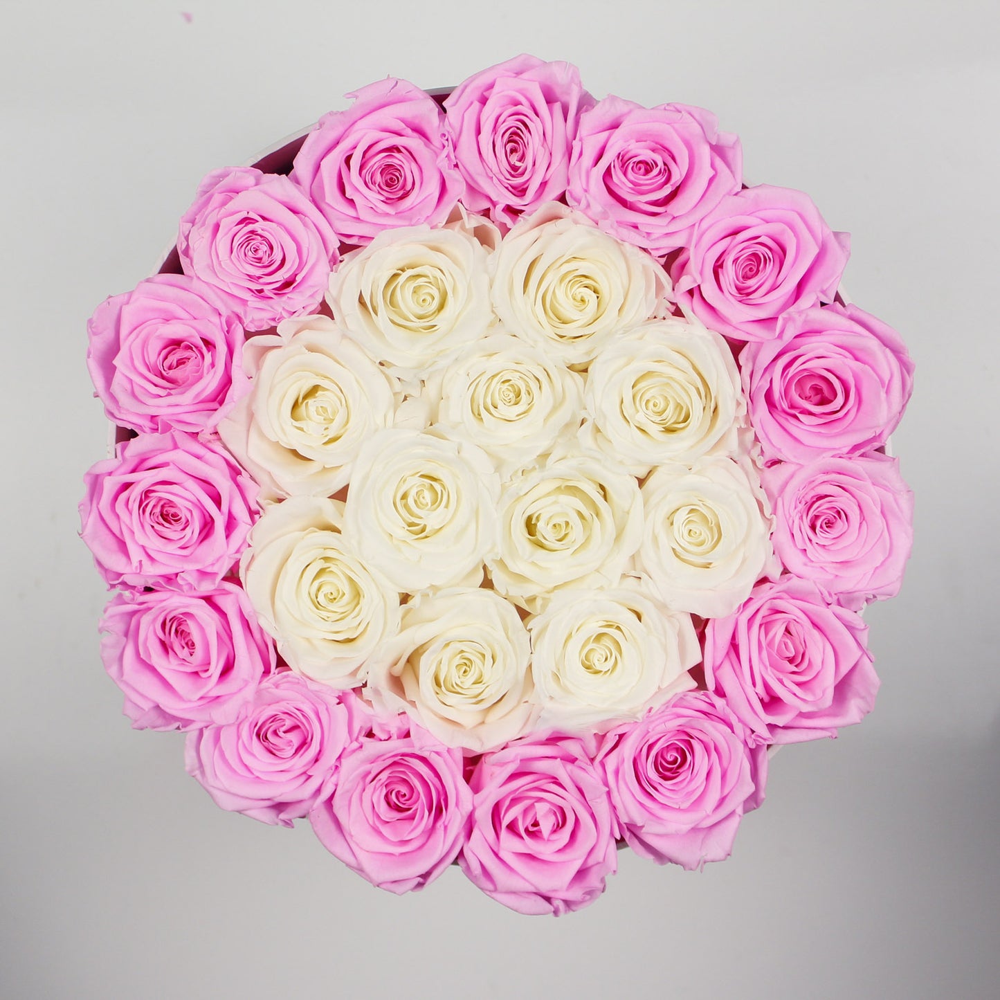 WHITE ROUND BOX | BRIGHT PINK & WHITE ROSES