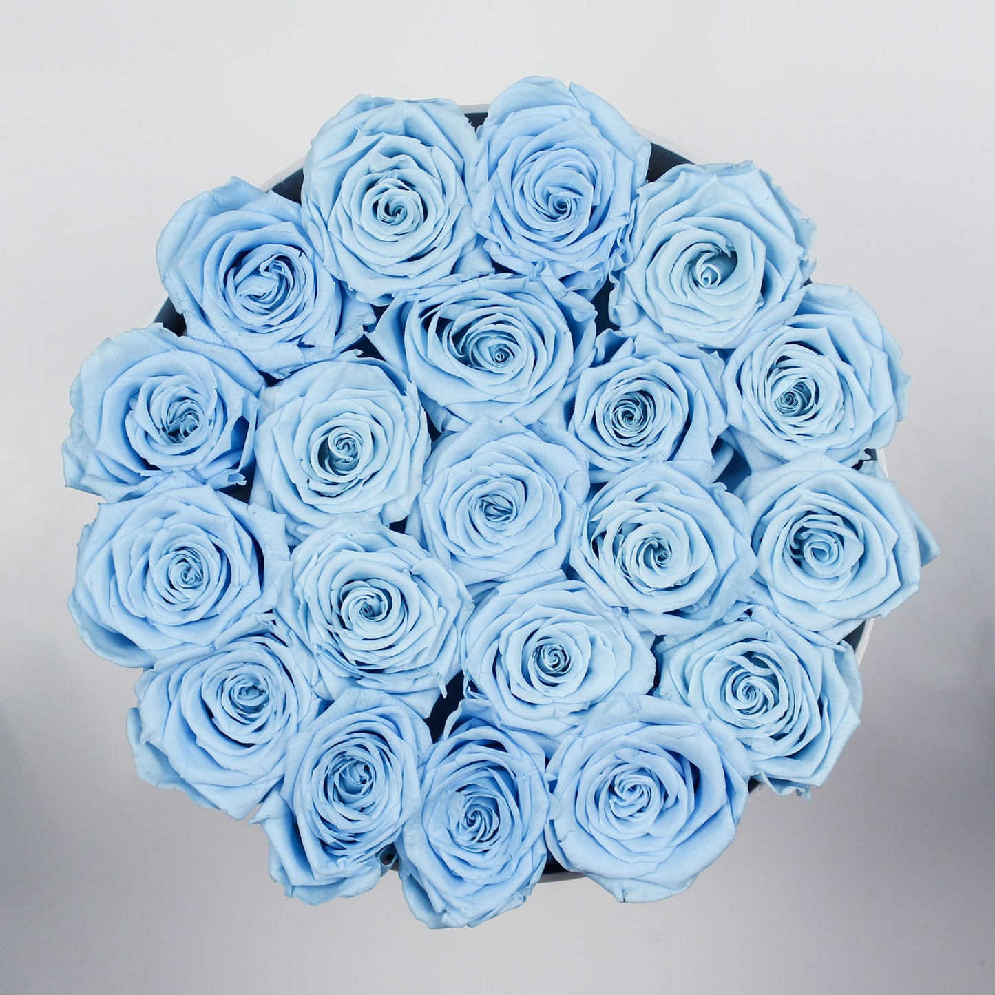 WHITE ROUND BOX | LIGHT BLUE ROSES